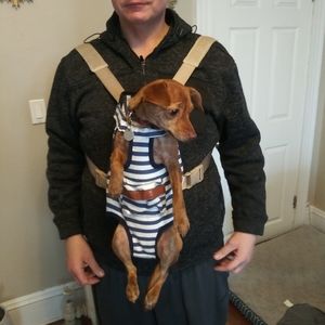 COODIA Small dog carrier